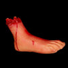 2019 Halloween Horror Props Bloody Hand Haunted House Terror Party Decoration Scary Hand Finger Leg Foot Brain Heart HotSale New