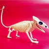 Animal Skeleton Model Bat/Lizard Bones Halloween Party Decoration Horror Movie Props Halloween Ornament