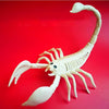 Animal Skeleton Model Bat/Lizard Bones Halloween Party Decoration Horror Movie Props Halloween Ornament