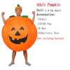 Alien Inflatable Monster Costume