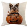 Halloween Pumpkin pillowcase cover cartoon cute Halloween pillow case animal accessories for home 45x45cm pillow cover xmas