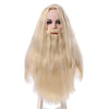 L-email wig Albus Dumbledore Cosplay Wigs Lucius Malfoy Rubeus Hagrid Bellatrix Lestrange Moive Halloween Wig Synthetic Hair