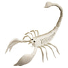 Terror Halloween Skeleton Ornament Simulation Animal Skeleton Model Festival Party Accessories Room Escape Holiday Tricky Gadget