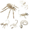 Terror Halloween Skeleton Ornament Simulation Animal Skeleton Model Festival Party Accessories Room Escape Holiday Tricky Gadget